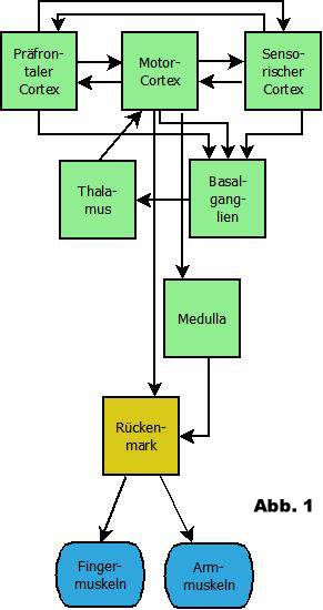 der-unkontrollierte-koerper_abb1