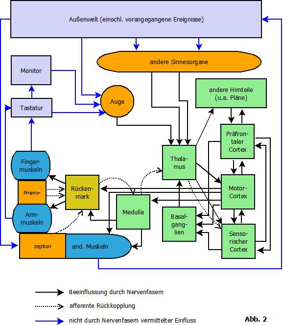 der-unkontrollierte-koerper_abb2