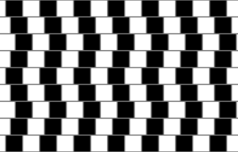 cafe-wall-illusion_2